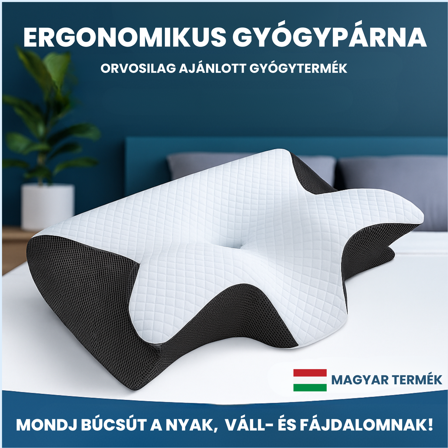 Ergonomikus Gyógypárna