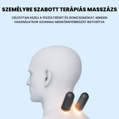 3in1 Masszázs Gyógypárna
