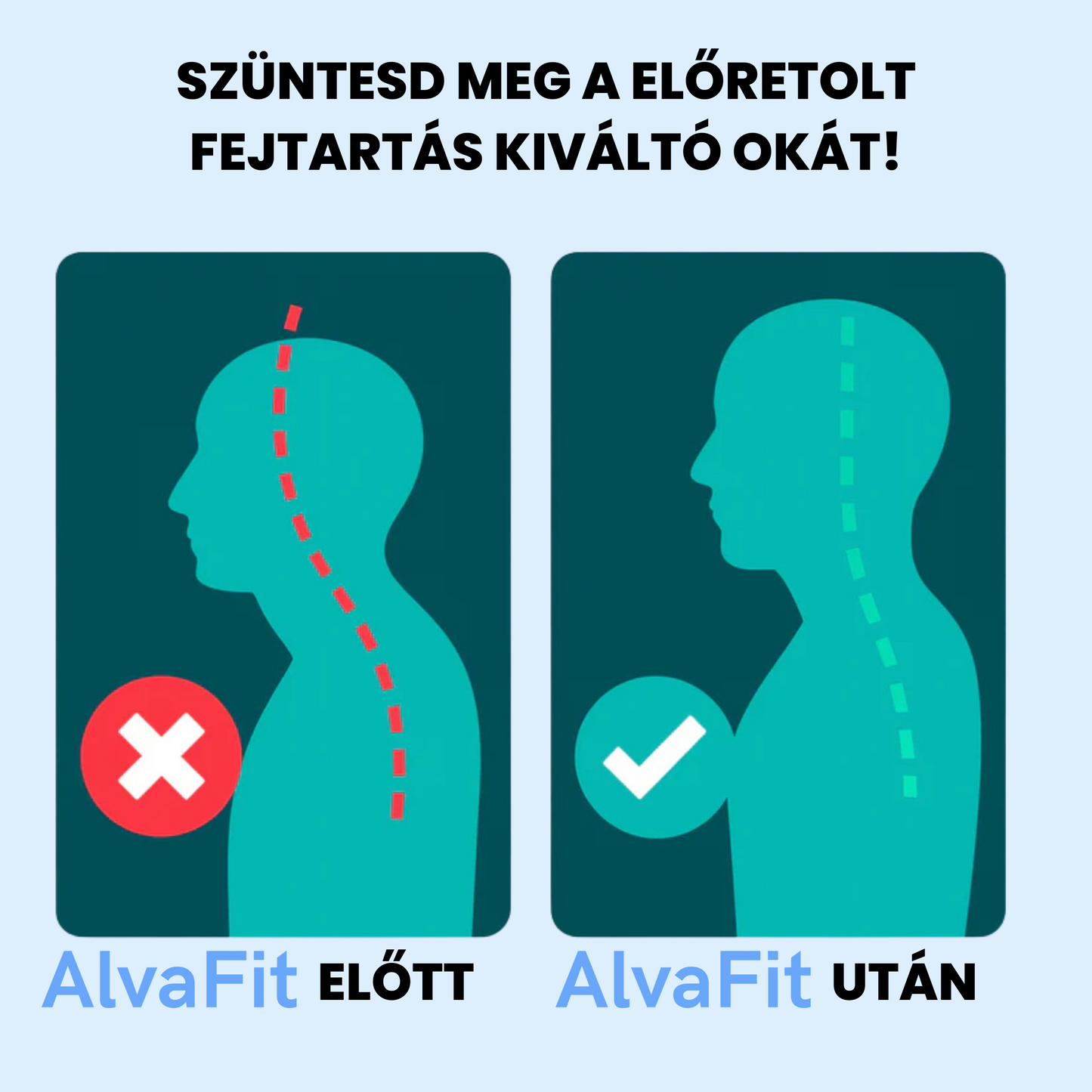 3in1 Masszázs Gyógypárna