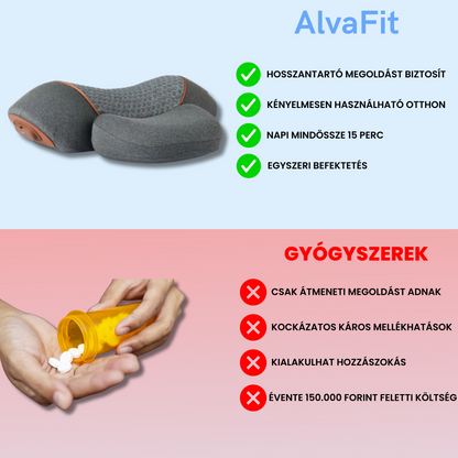 3in1 Masszázs Gyógypárna