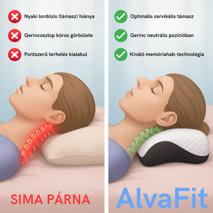 Ergonomikus Gyógypárna